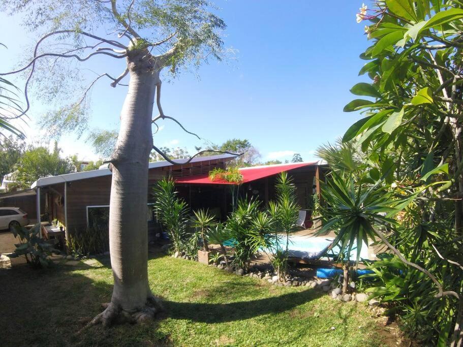 סן-פייר Ti Koin Trankil Belle & Spacieuse Villa Tropicale מראה חיצוני תמונה